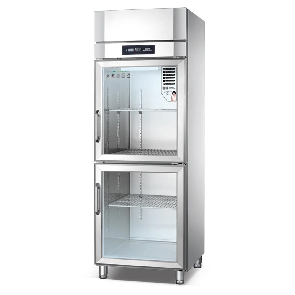Upgrade Professional Technology Commercial Vegetable Fruits Refrigerator Freezer Mini