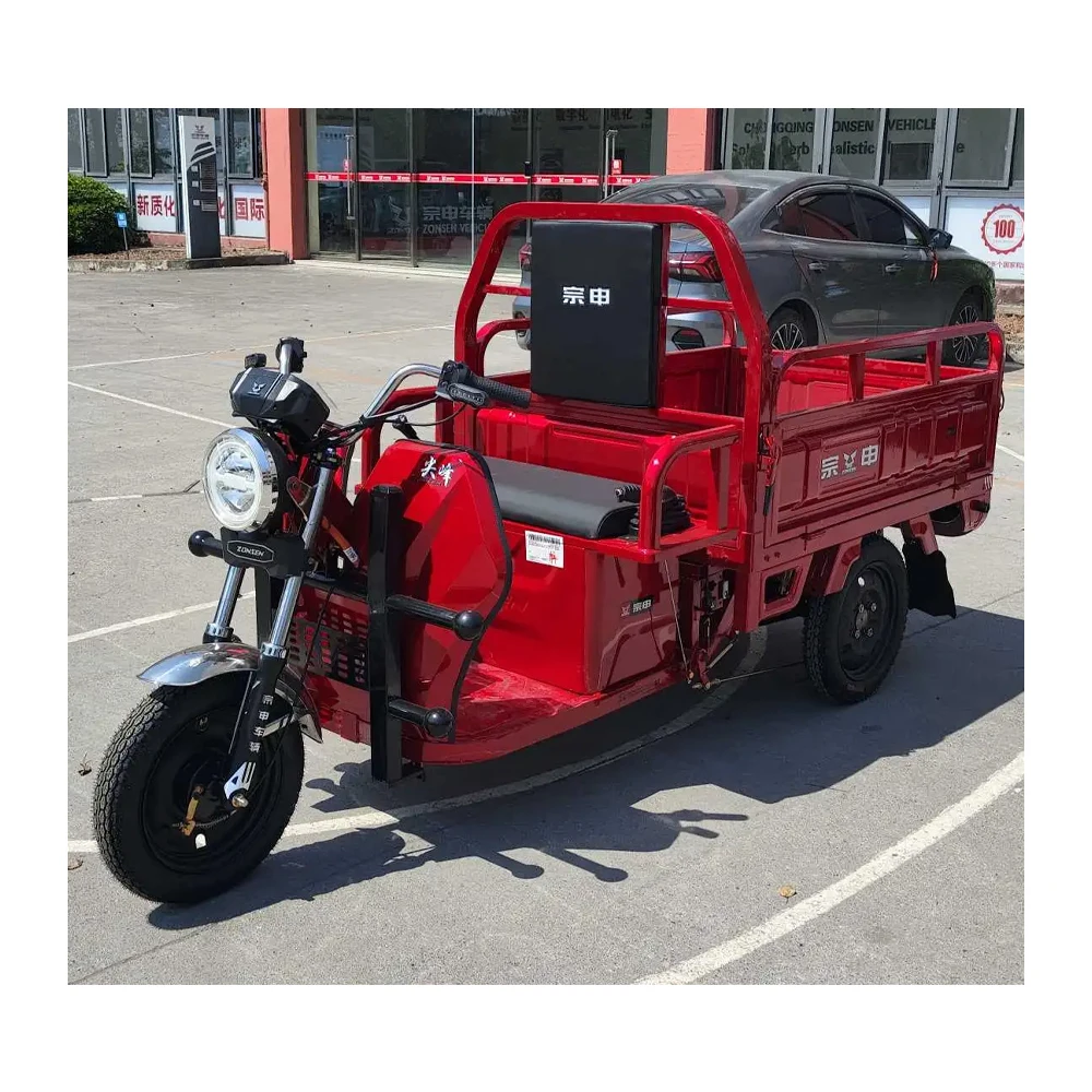 60 вольт moteur velo трицикл electrique adulte pas chere
