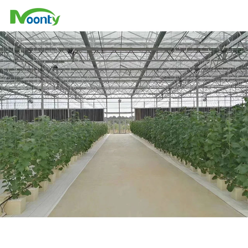 Agricultural Equipment Greenhouses With Hydroponics System
