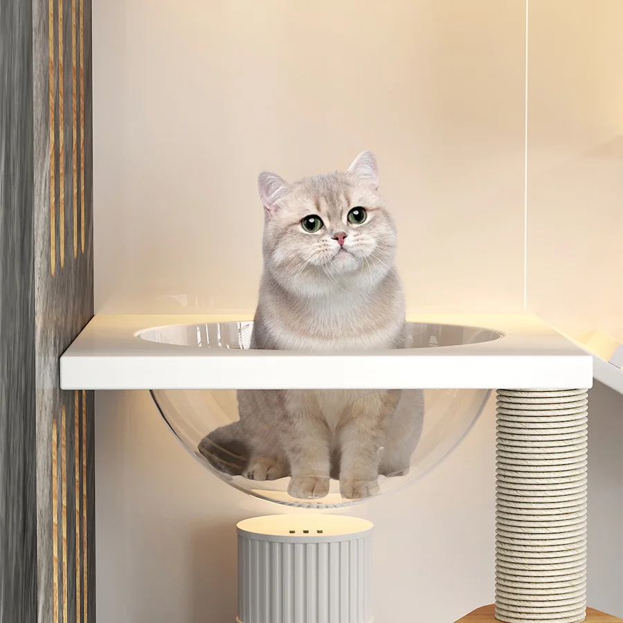 Pet house  cat bed indoor  cage small house large cat kennel solid wood house