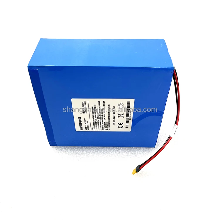 Customized PVC LifePO4 Battery Lithium Battery Pack 12V 18Ah 24Ah 30Ah 60Ah