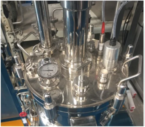 INNOVA Conical Fermenter 5L~1000L SUS316L stainless steel Fermenter for laboratory microbial culture