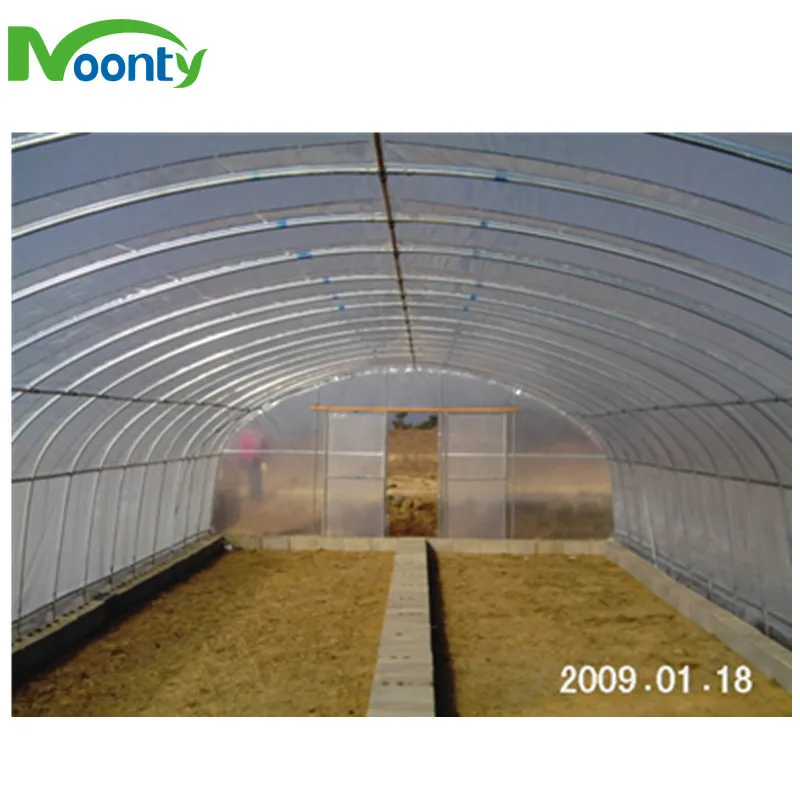 China Supplier Cheap Price Tunnel Greenhouse for Tomato/Cucumber/Lettuce/Cherry/Celery/Pepper/Eggplant/Herb/Strawberry Growing