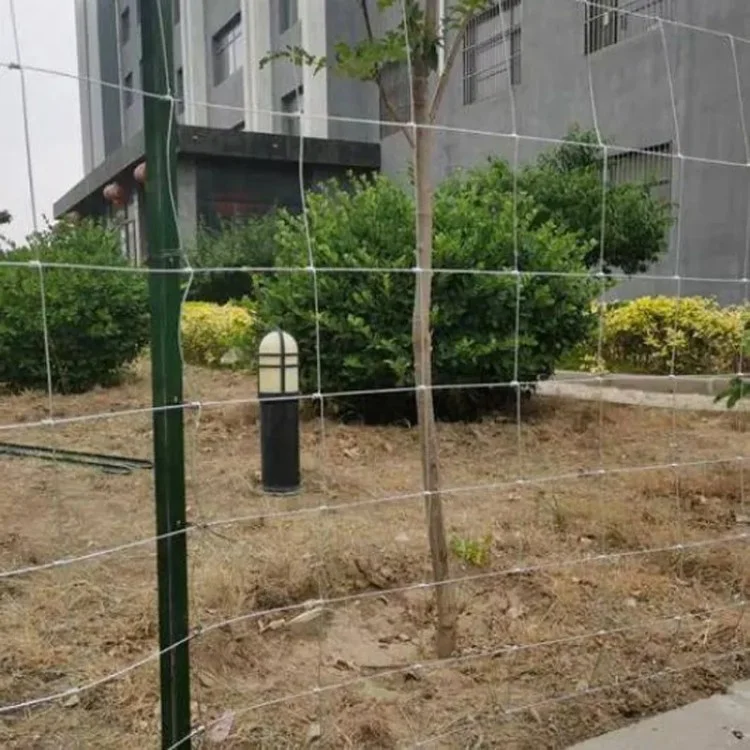 farm fence livestock wire mesh galvanized fencing wire chicken netting  wire farm fence