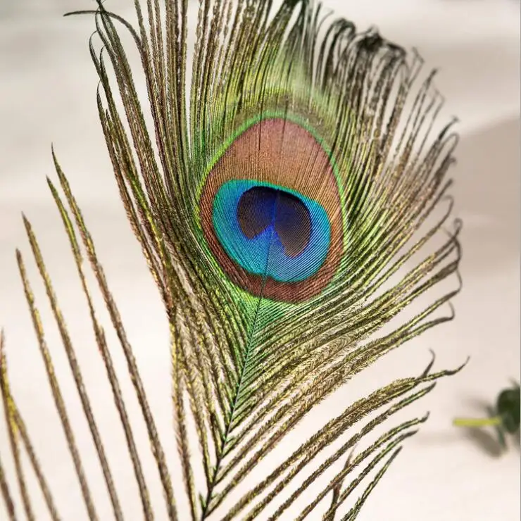 Multiple Peacock Feather Tail Pheasant Tail Rooster Feather