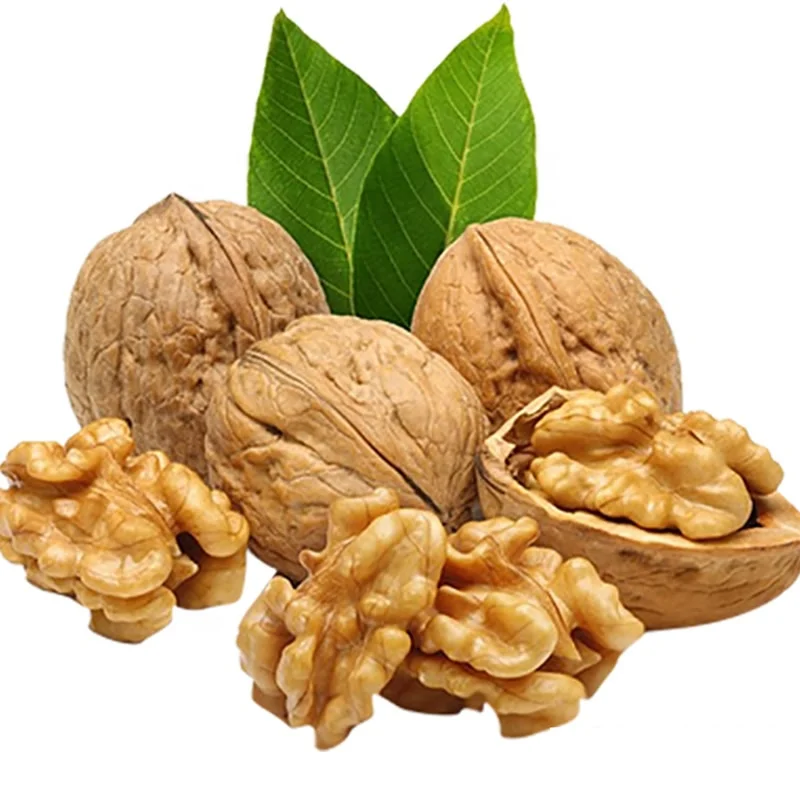 Special offer Xin 33 Thin-skinned walnut Chinese 185 Walnuts In Shell