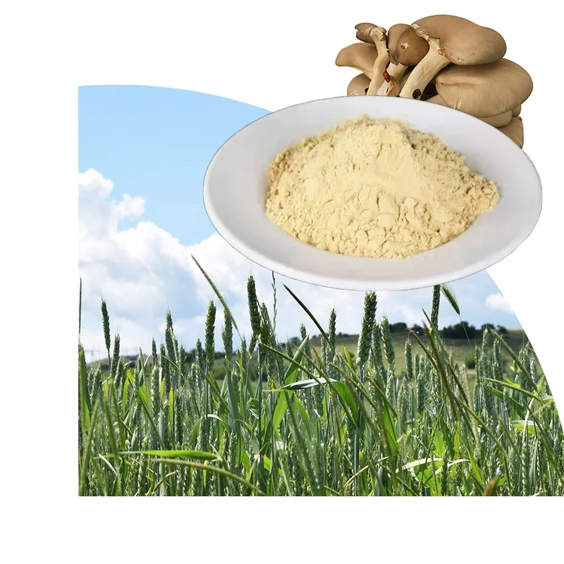 Bulk Crab Natural Price Per Kg Liquid Fertilizer Agriculture Hydroxypropyl Powder Oligosaccharide Chitosan ingredients