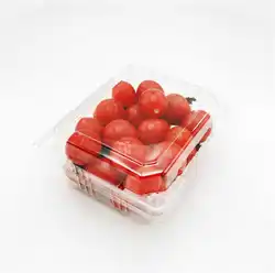 Hot sell vegetables or fruit box trays packing fruit sushi takeout box from professional manufacturer