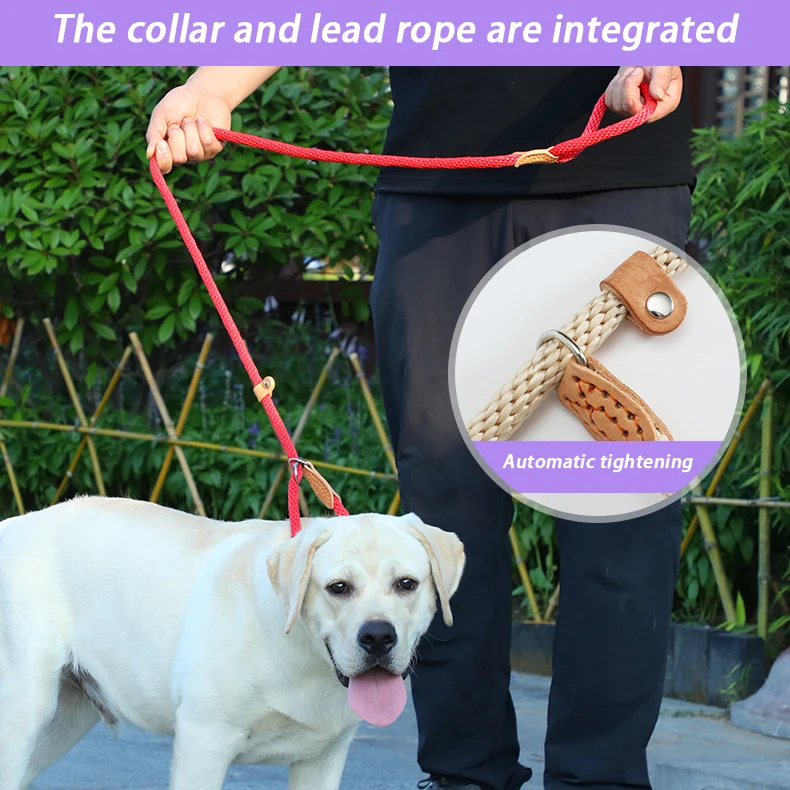 Dog Leash Slip Rope Waterproof Nylon Dog Leash No Pull Training Lead Leashes for Medium Large And Small Dogs