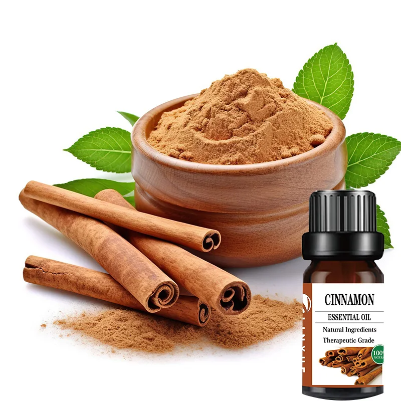 Cinnamon essential oil single color box 100% pure natural oil wholesale bulk oil