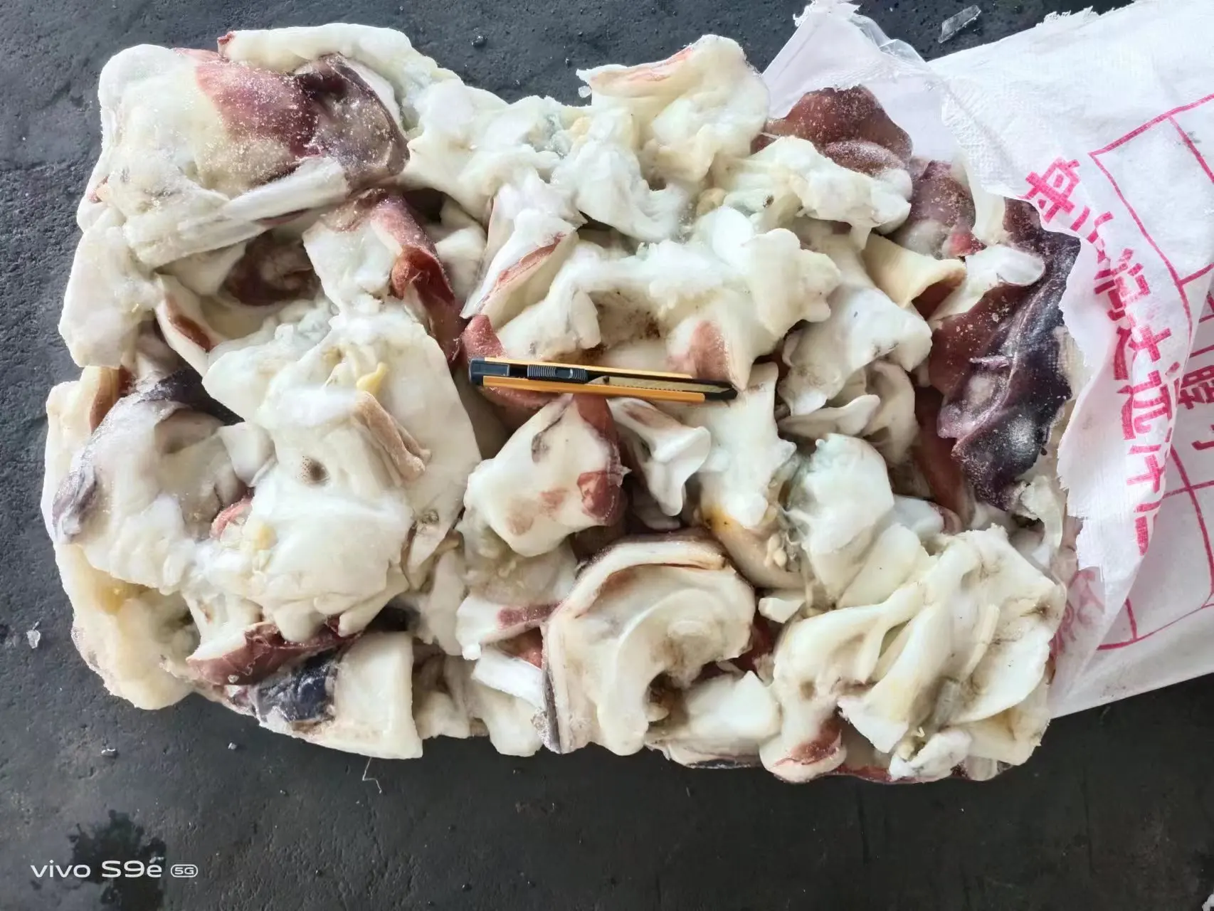 Delicious Chinese Food Dosidicus Gigas Wholesale Giant Squid neck whole cleaned gigas squid calamari neck China seafood supplier