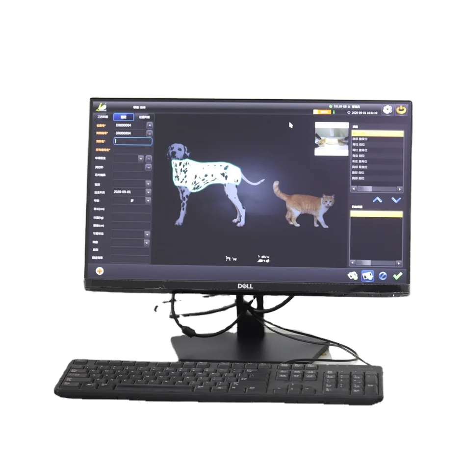 Kanistar Animal X Ray Digital Radiographic Equipment Digital DR Machine Supply Animal X-ray System for Veterinarians Pet DR