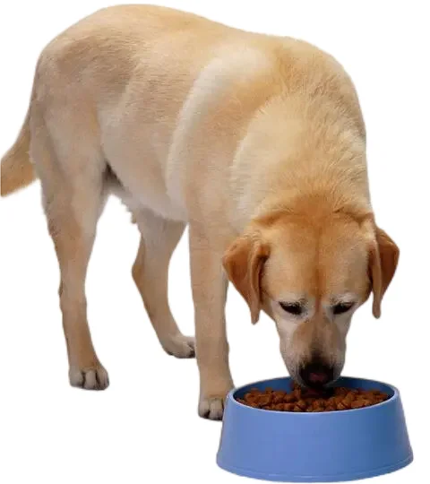 Free Sample Organic Pet Food Halal Wholesalers Freeze Dried Weight Gain Special Dry Cat Dog Food