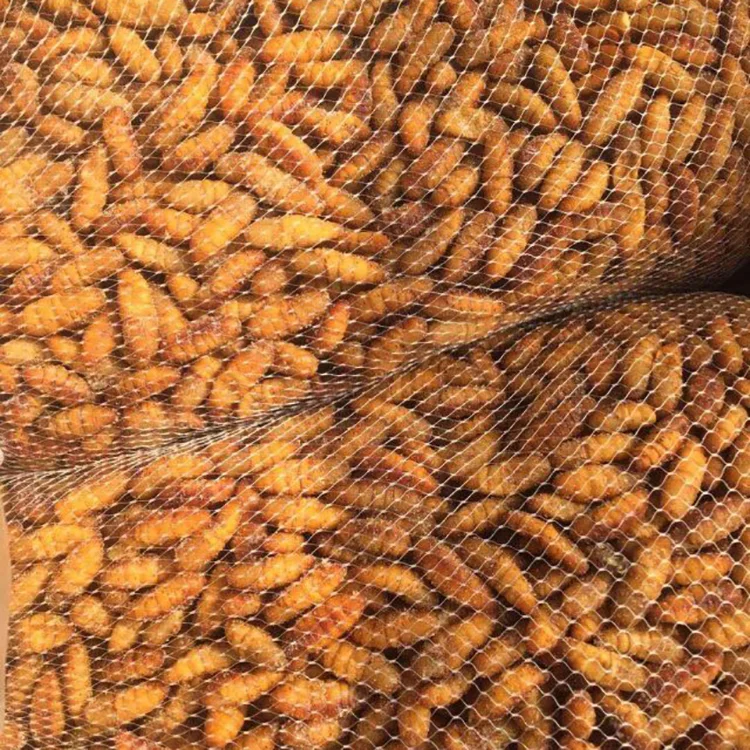 Wholesale Animal Feed SANFENG SEAFOOD Frozen Silkworm Pupae Autumn Silkworm For Sale