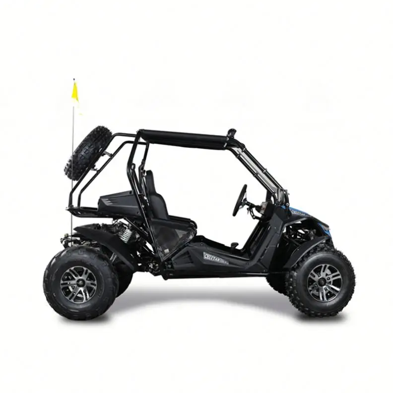 Trail blazer manufacturing  balanced brute 1100cc dune buggy for adults