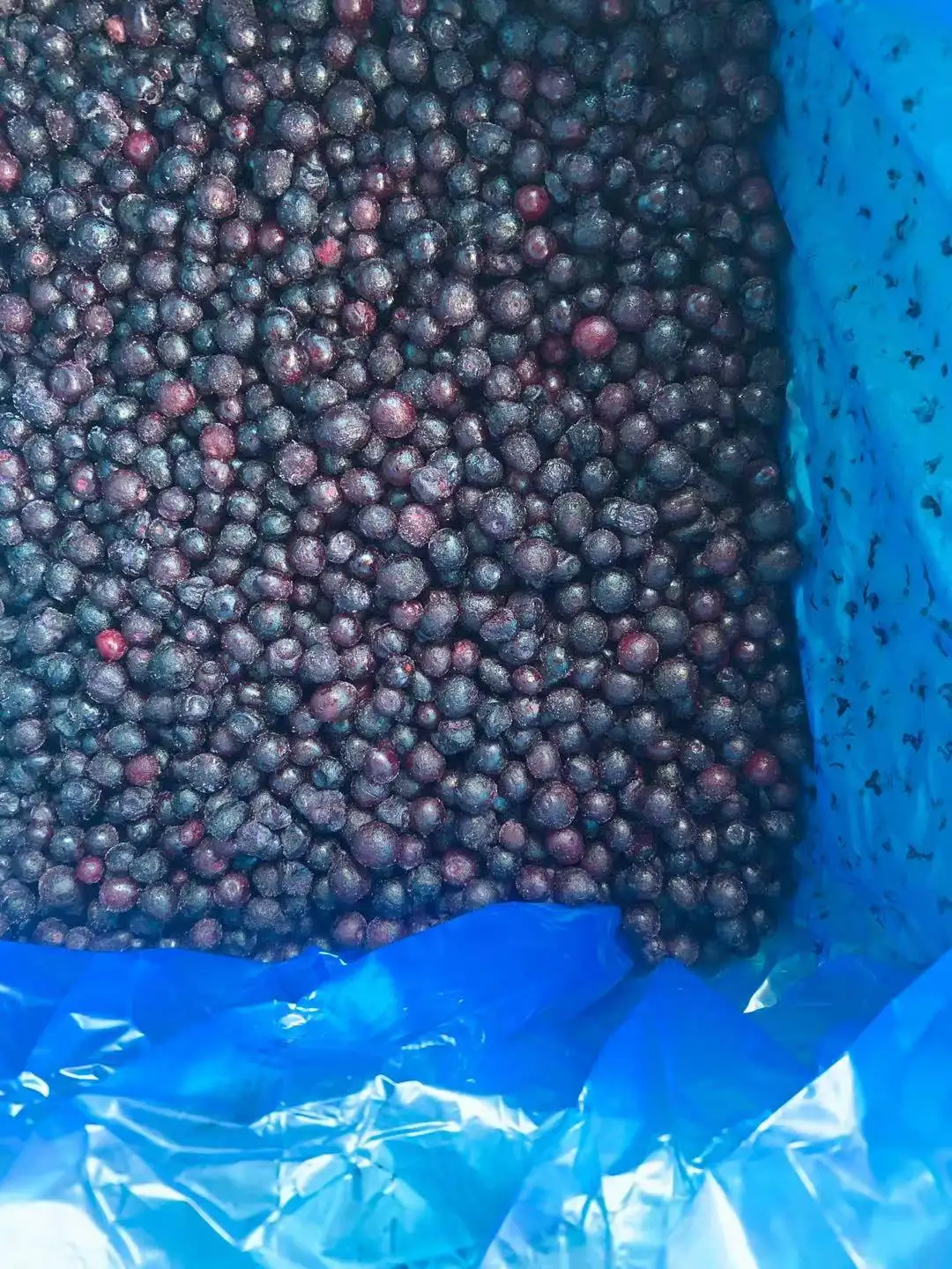 
frozen wild blueberry IQF wild blueberries 
