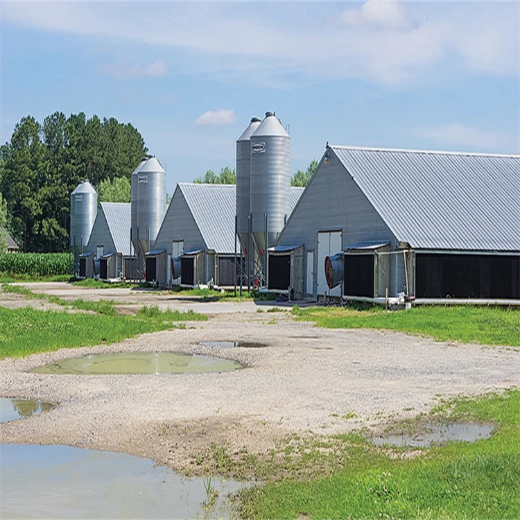 JG Steel structure cowshed, chicken house, breeding plant, ventilation and warmth