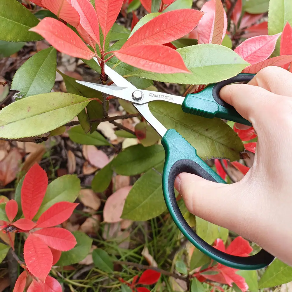 Hydroponic Small Stainless Steel  Plant Tools Orchard Grafting Trimming Garden Scissors kitchen scissors