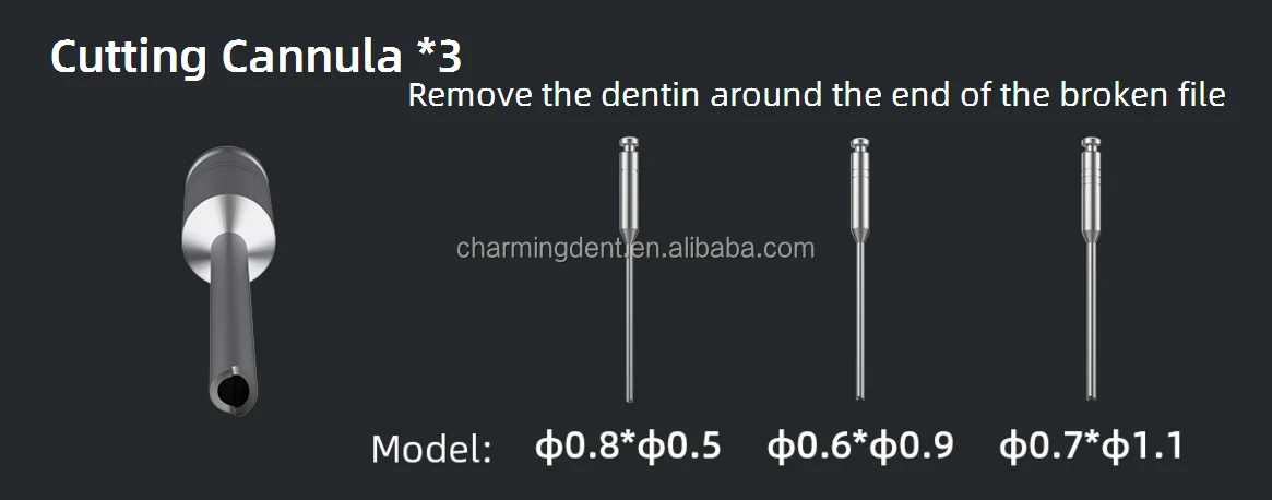 DETAILS 6.png