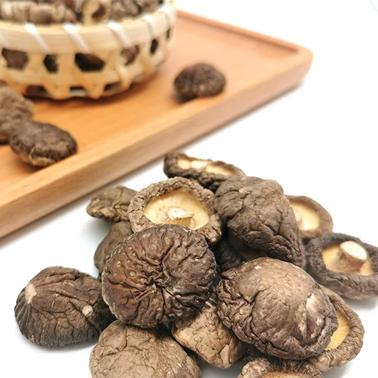 competitive price shiitake dried dried shiitake mushroom