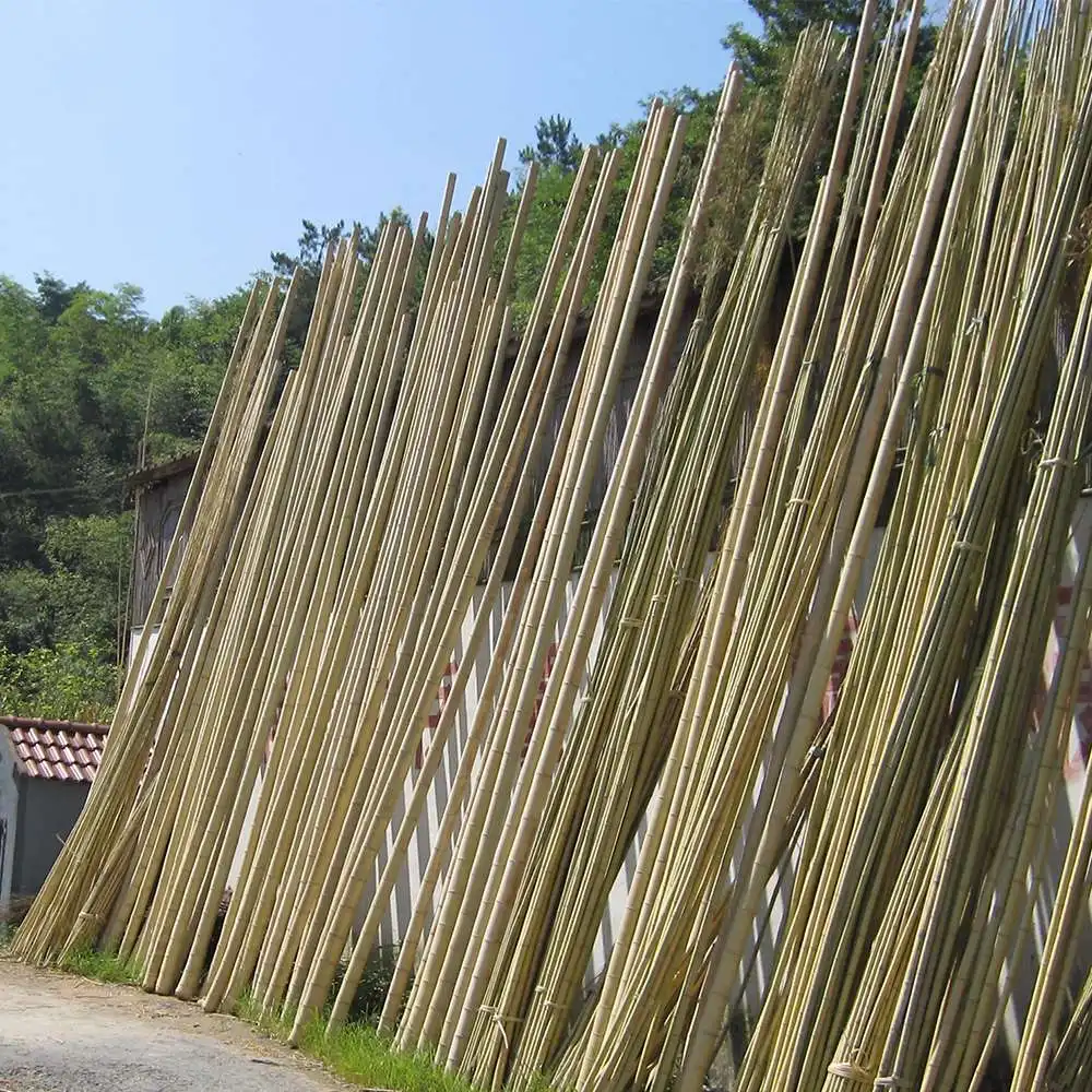 Wholesale natural straight bamboo pole artificial bamboo poles