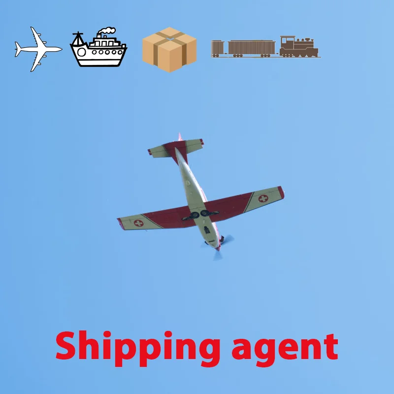Customs Clearance Service Sea shipping forwarder from china Import to