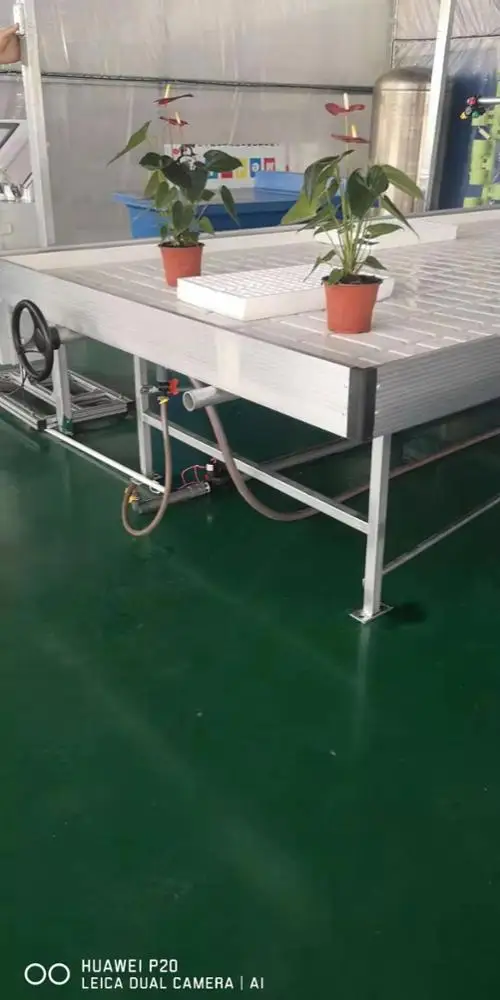 
New Style Tidal Seeding Nursery / Irrigation Nursery for Greenhouse 