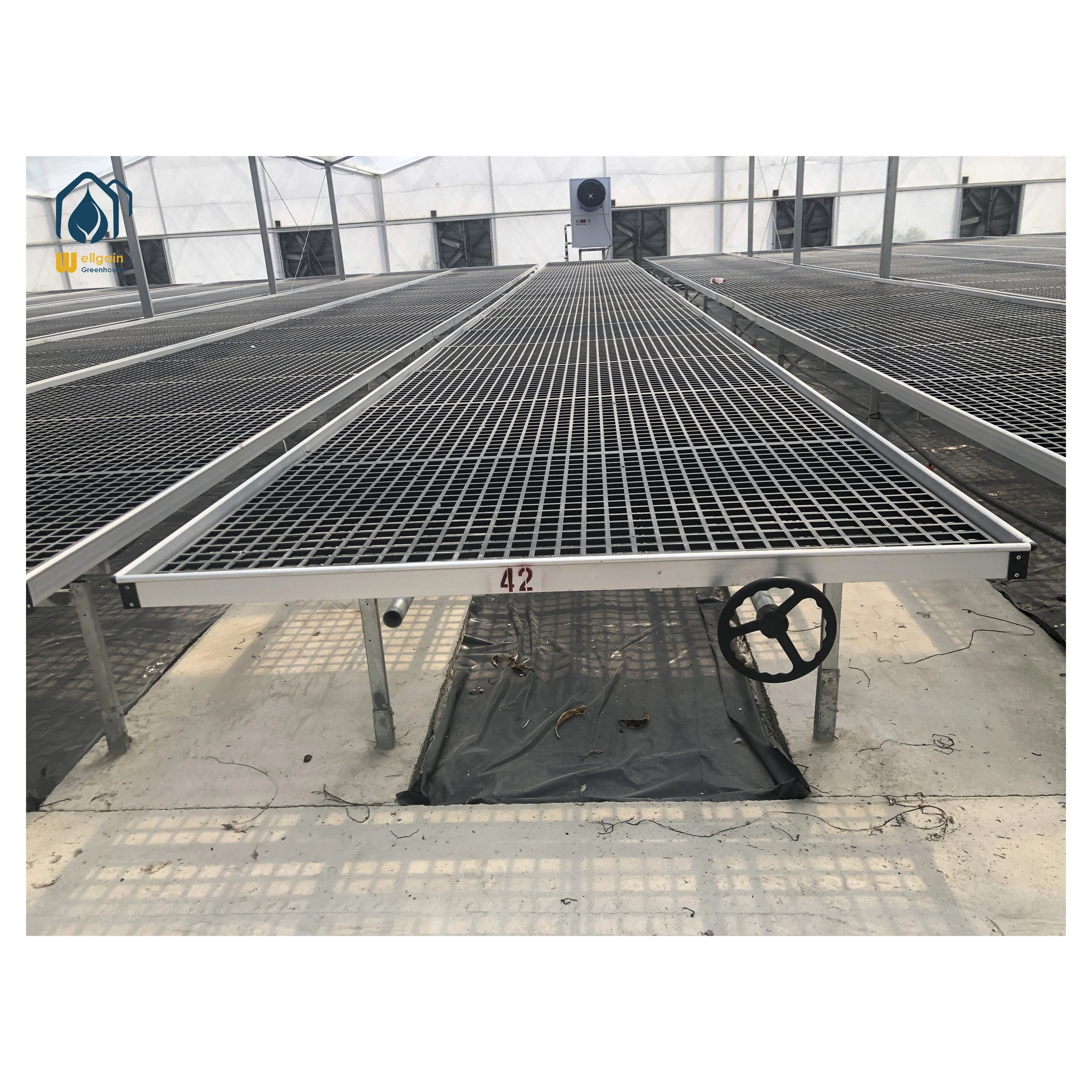 growing trays wholesale price agricultural glass greenhouse vertical farming system