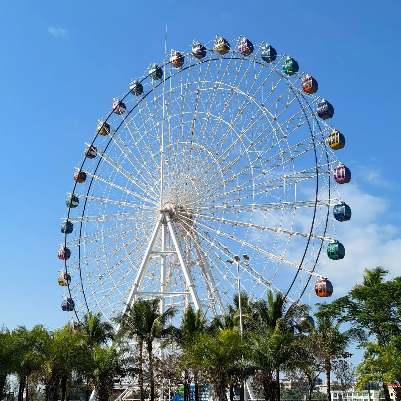 Professional factory product  best selling  amusement park rides 65m ferris wheel for sale