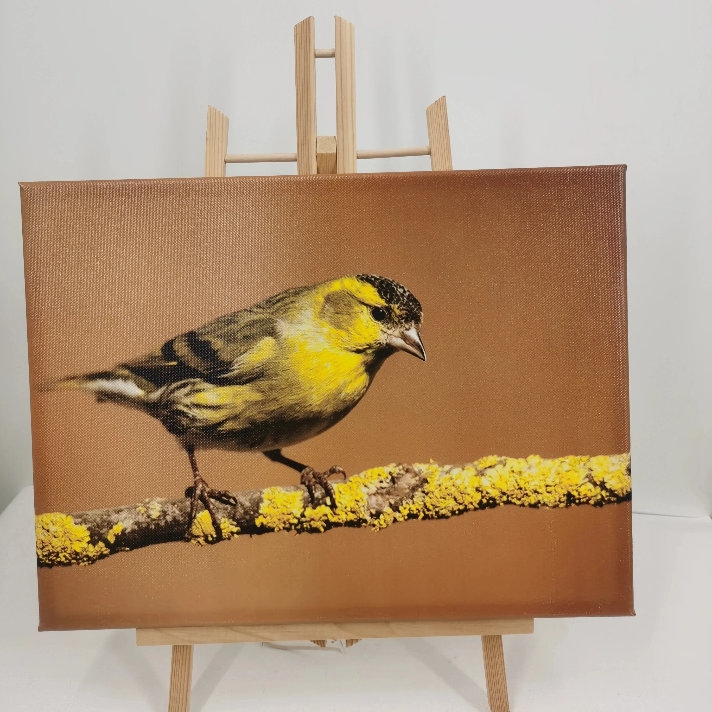 High Quality Artist Stretched Canvases Blank White Art Canvas Boards for Oil Painting or Acrylic Painting Popular Customized