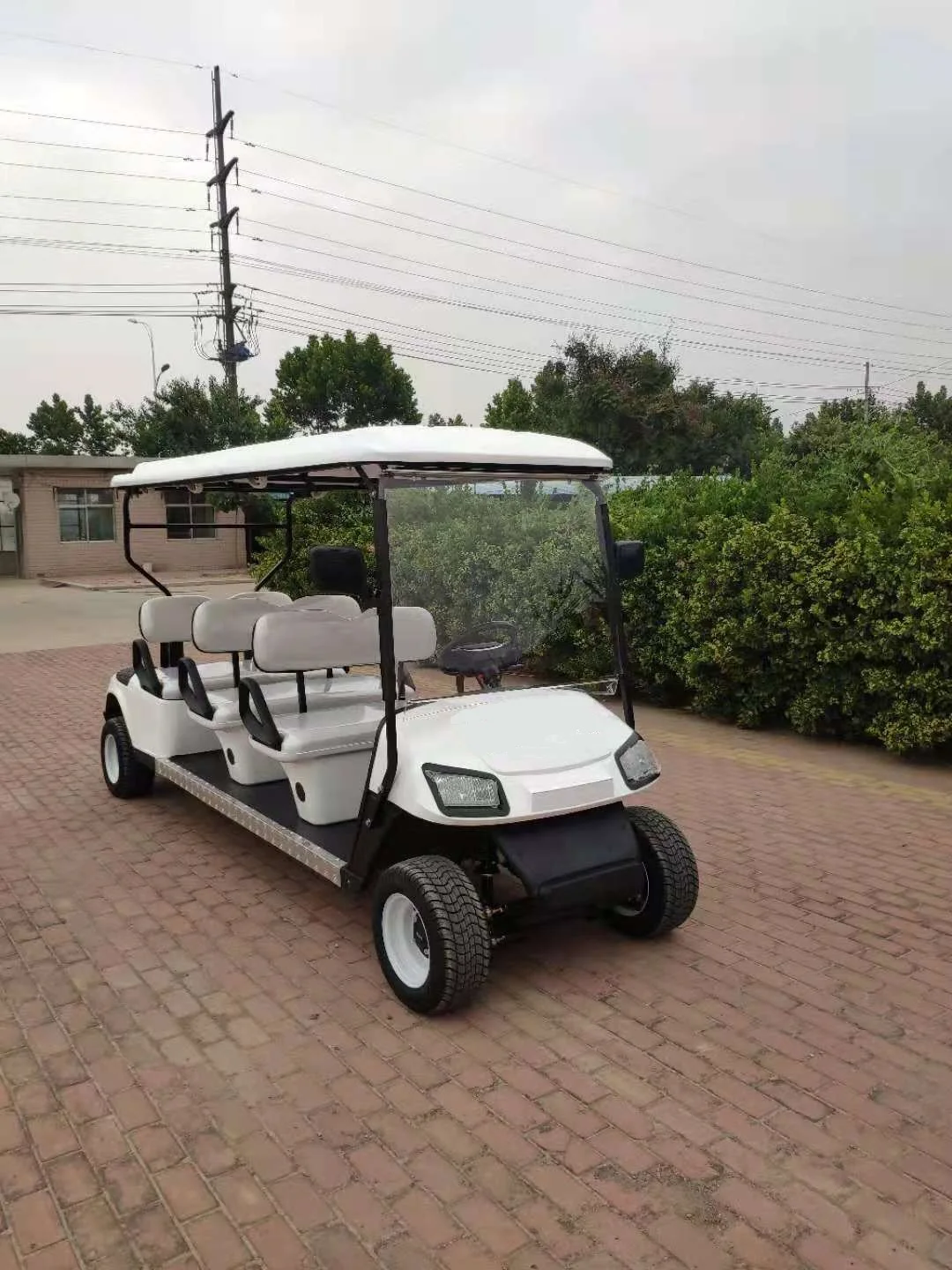 welift factory six  6 seats powered golf cart Push Cart Pull Cart Golf Trolley germany golf trolley 8 seats electric good price