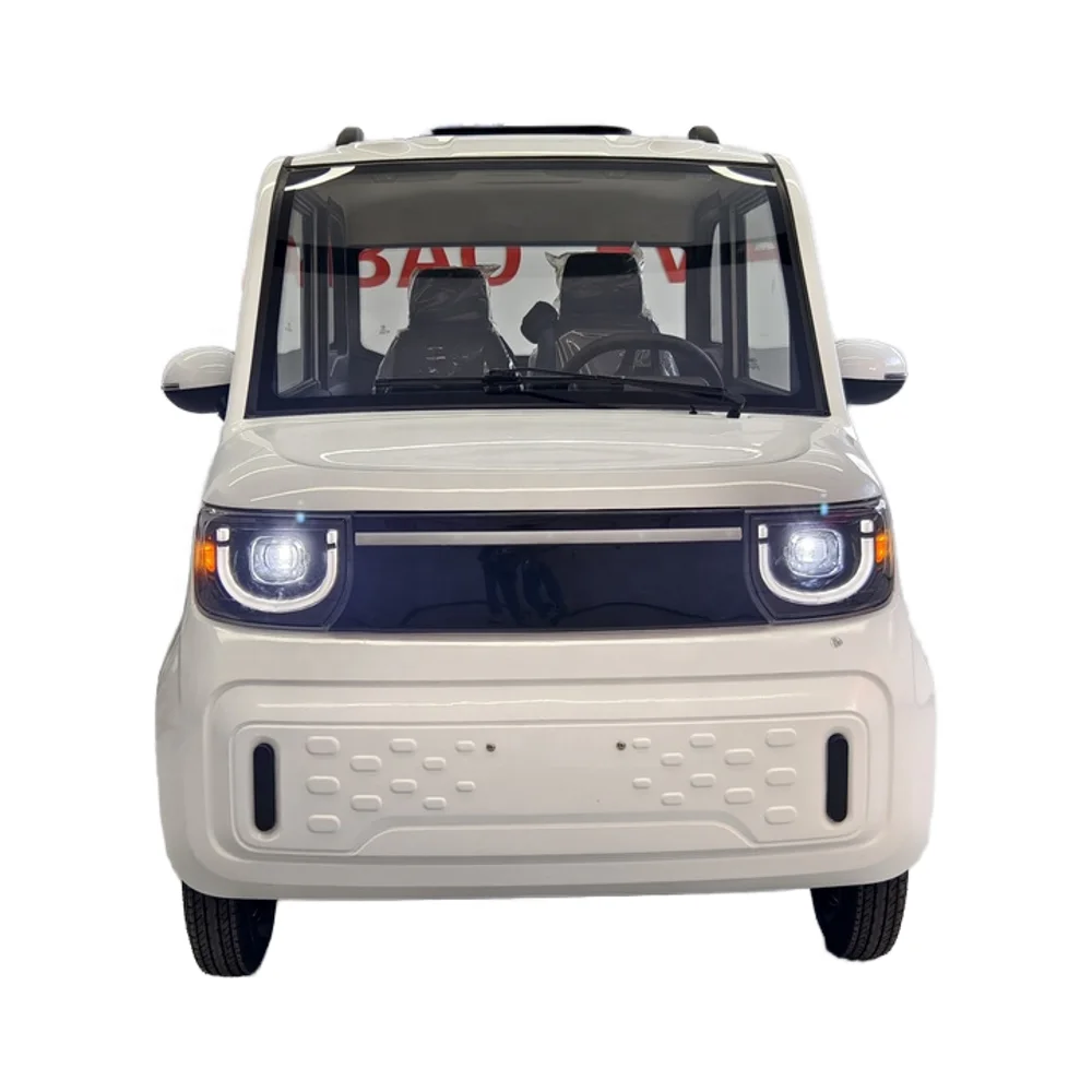 EEC Certified Electric Vehicle Small Car 2024 Small Electric Car for Seniors and Small Electric Car with air Conditioner