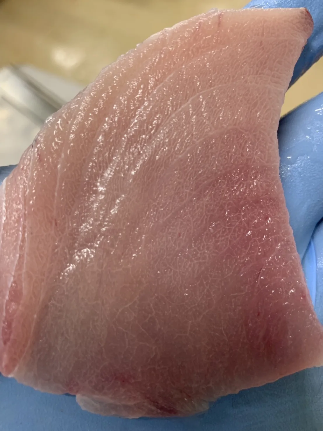 Японское качество морская рыба замороженные жирные рыбы альбакор тунец цена