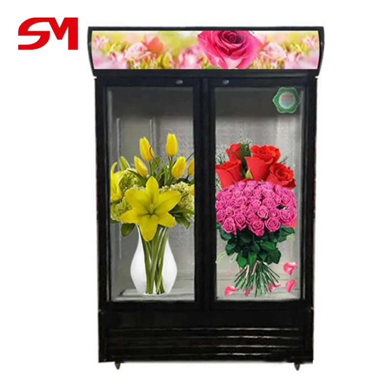 Simple operation and strong reliability mini flower chiller