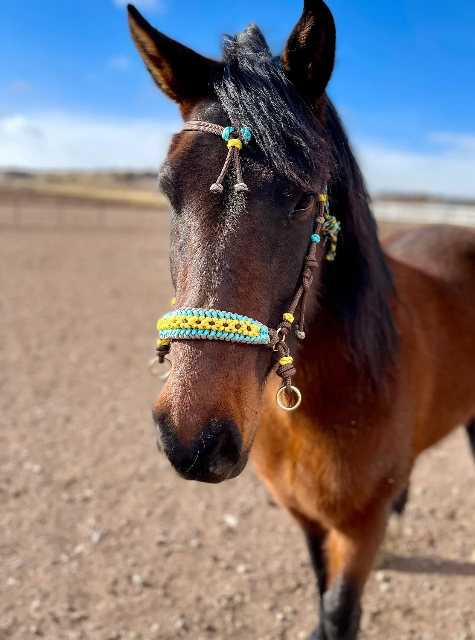 Custom fringe paracord horse tack Fringe breast collar set tie down set barrel reins for small pony Cob horse burgundy tack