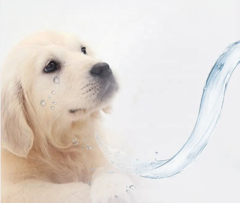 
OEM 80pcs cleaning pet wet wipes cleaning pet ear hand and eye 