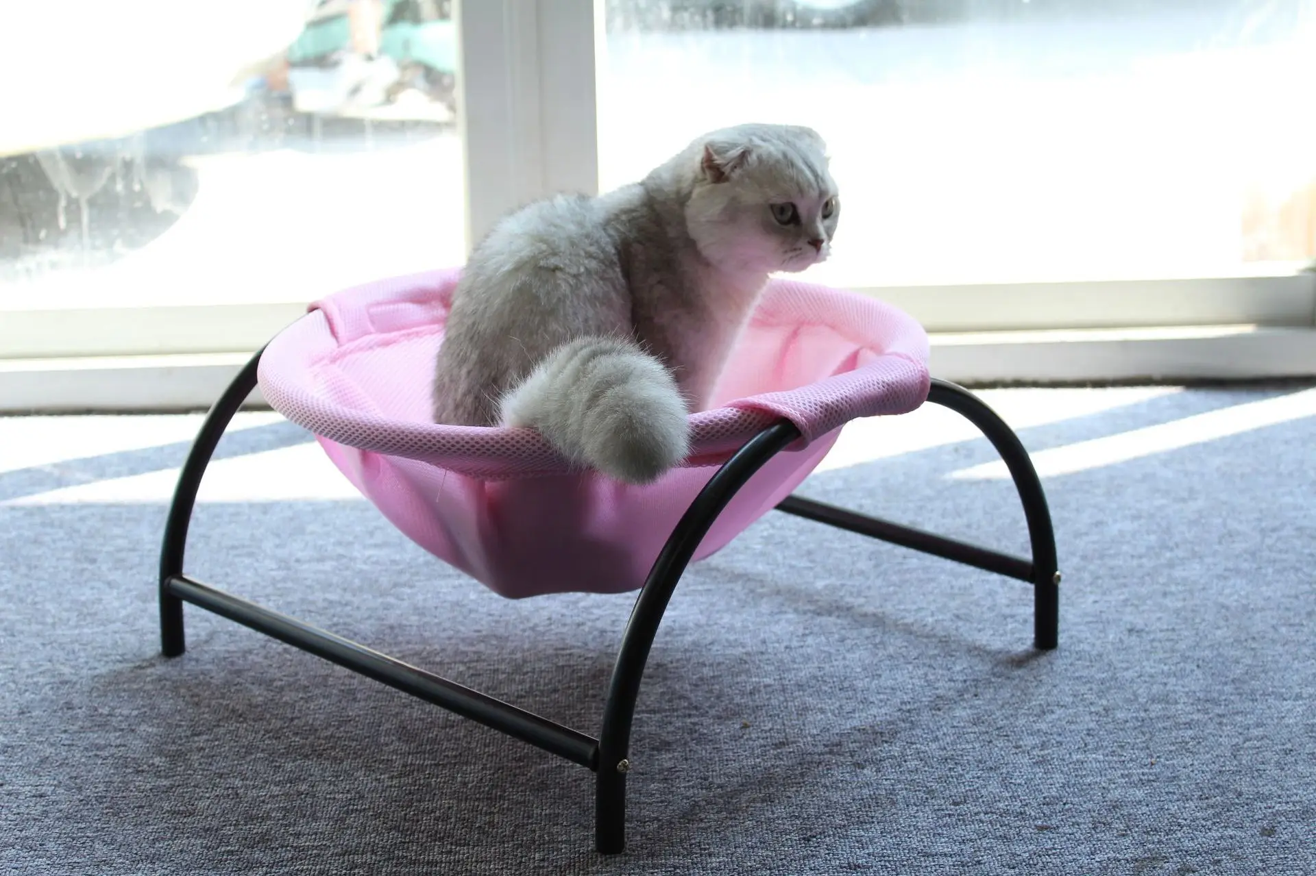 Breathable Mesh Cat Bed Luxury Wholesale Washable Luxury Large Cat Pet Dog Bed