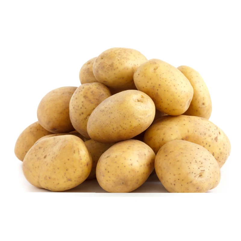 High Quality Bright Yellow Fresh Potato Export Wholesale At Low Price