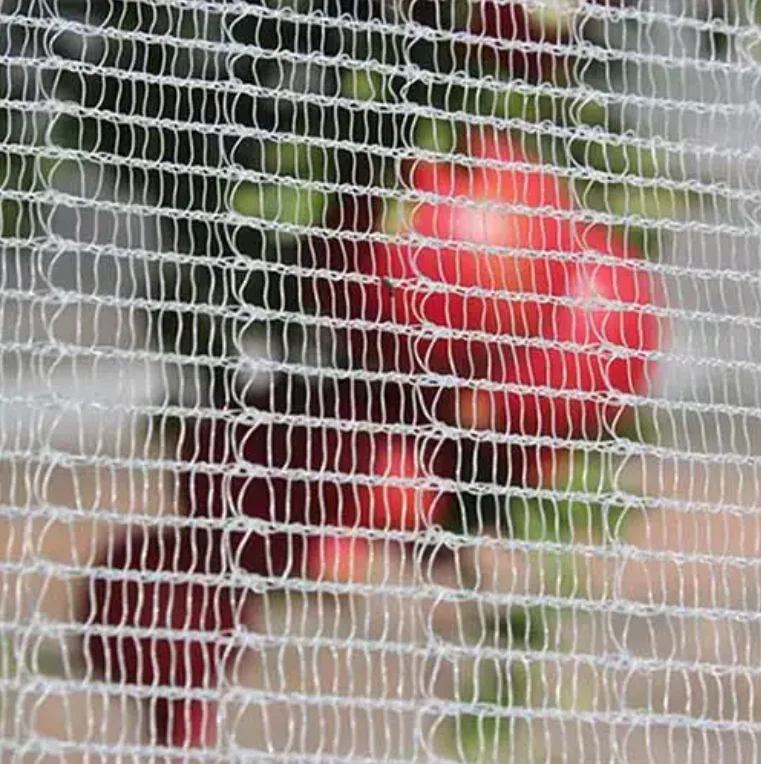 Agricultural Greenhouse Farm Protection Net, Anti Bee For Fruits, Trees