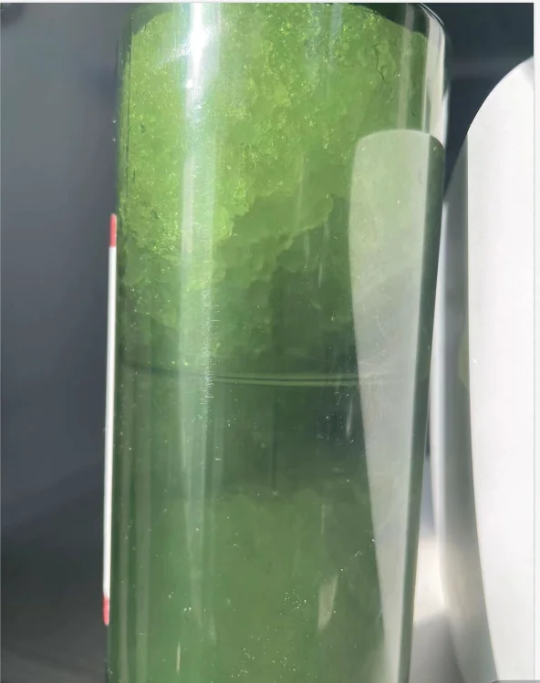 Clear Liquid 99.9% Purity Australia Sydney Melbourne Warehouse Stock CAS 110-64-5 14b liquid 3 Days Fast Delivery