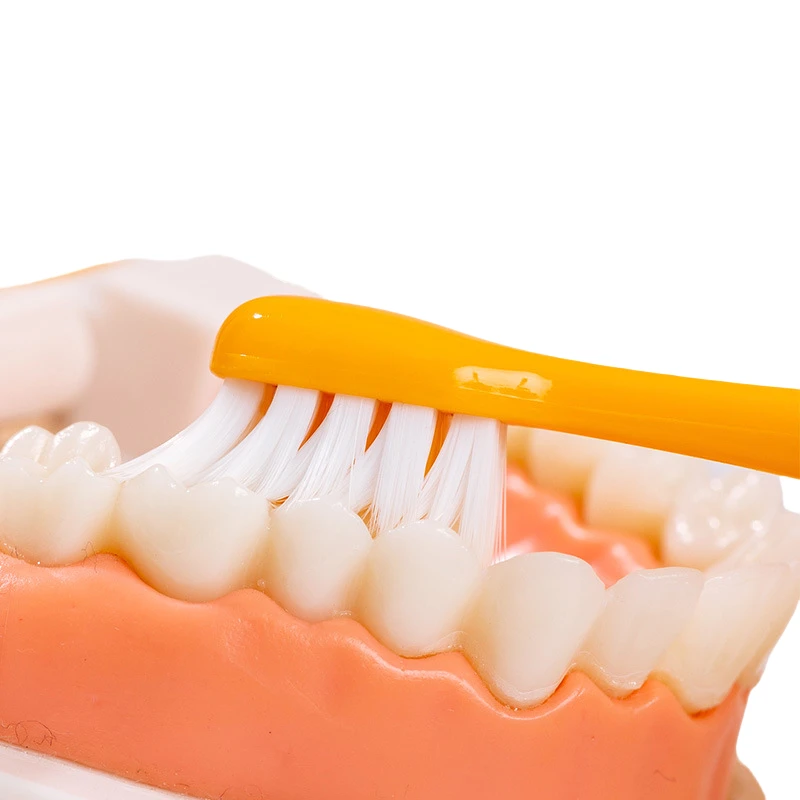Baby Toothbrush Baby Teeth Cleaning Kit With Double Soft Hair Training Toothbrush For Kids