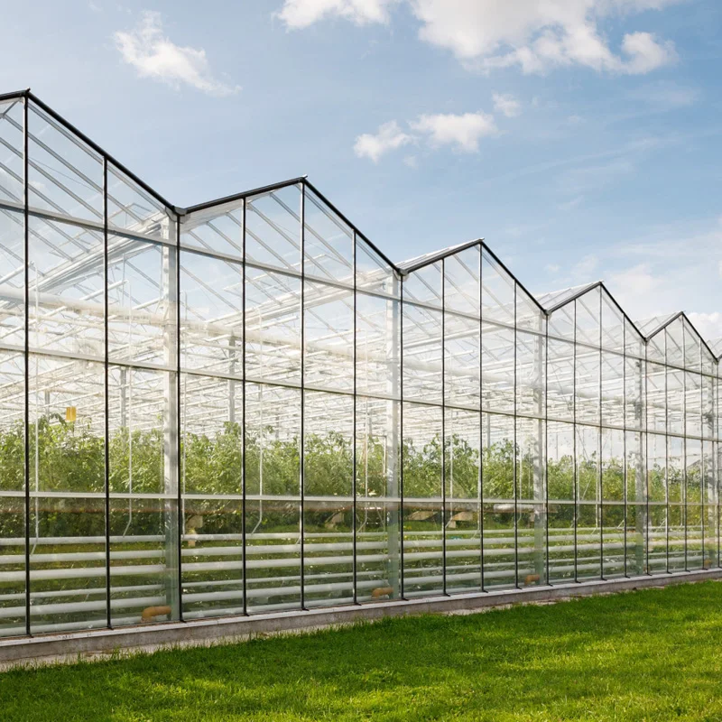 Sale wholesale price robust and durable greenhouse aluminium profile hydroponics glass house