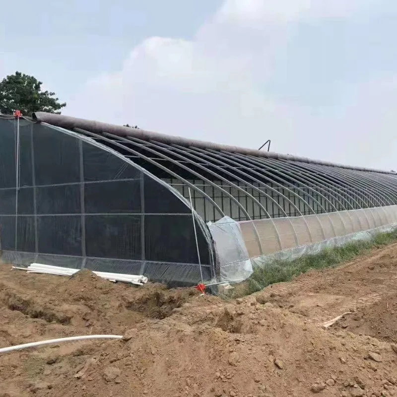 European and American hot wholesale price low-cost( film + framework)agricultural greenhouse
