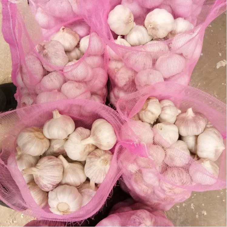 High Quality Low Price of Fresh Organic Normal White Garlic