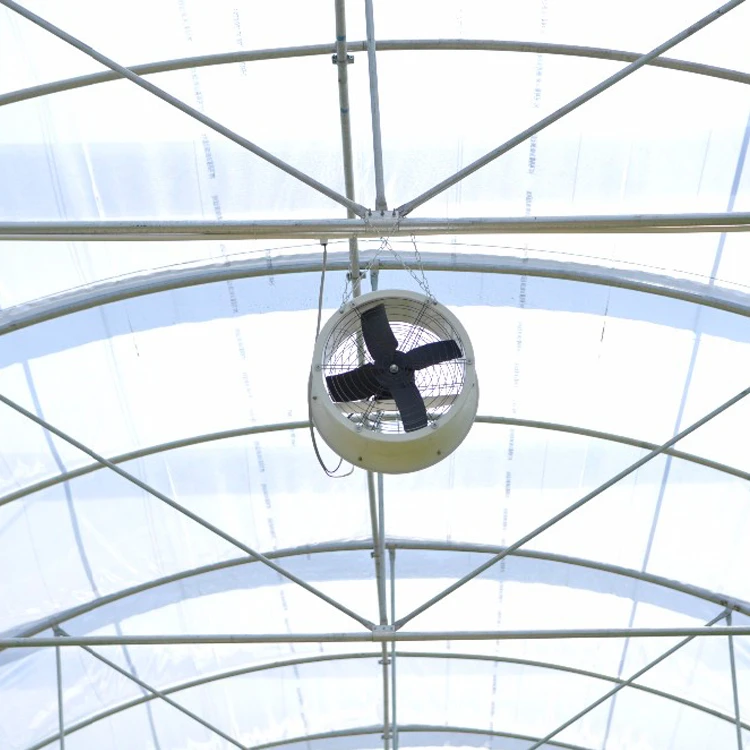 Low Cost Passive Solar Light Deprivation Cooling System Multi-span Tomato Greenhouses