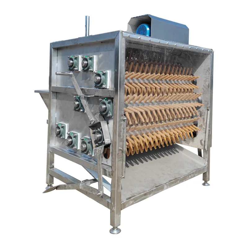 Automatic chicken and duck  machine cleans plucks chickens