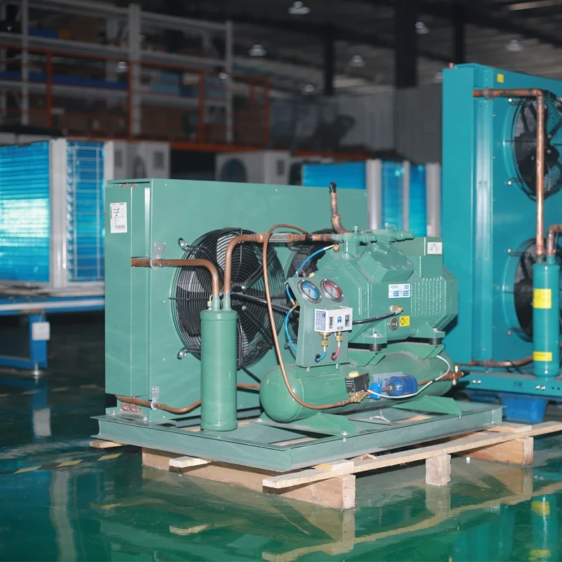 50Hz 60Hz Low Temperature Refrigeration Unit, Cold Room Compressor Unit, Brand Condensing Unit for Ice Cream