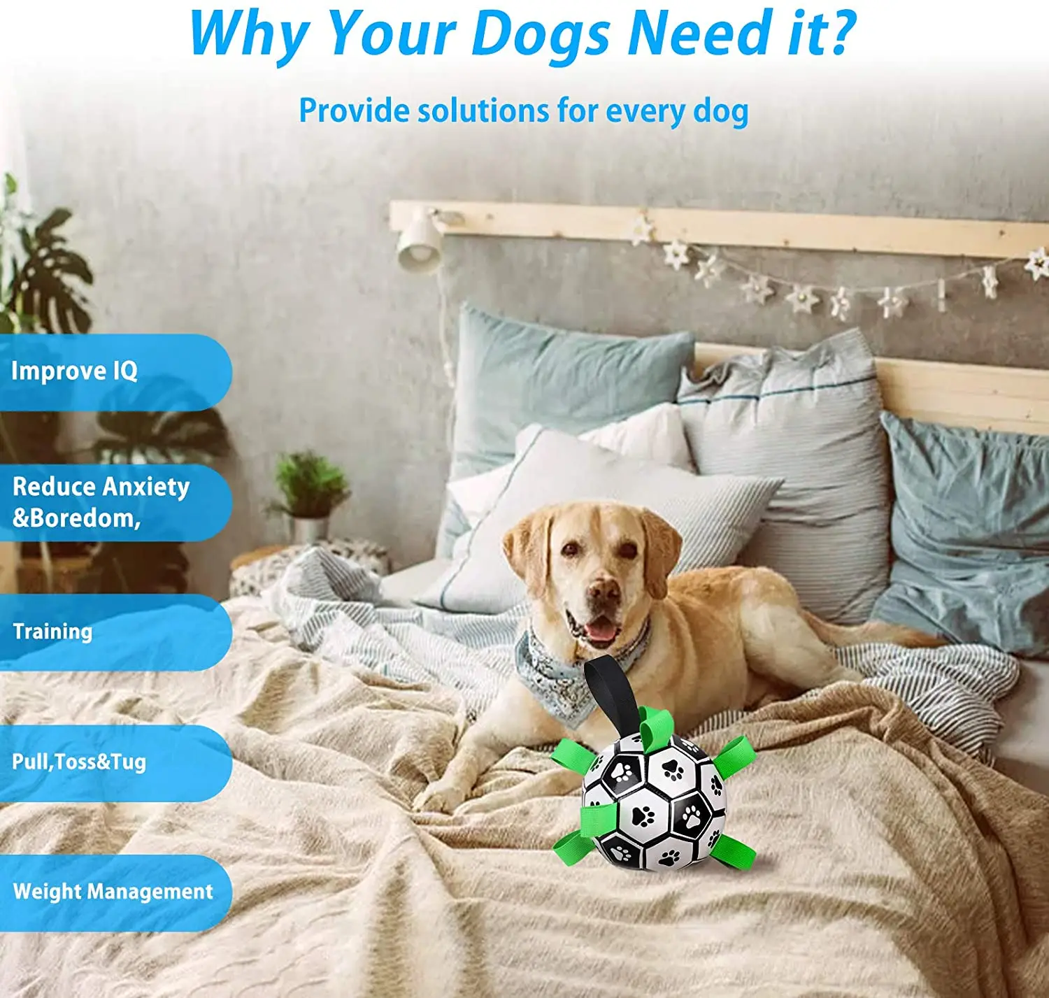 
Dropshipping PU Material Dog Training Soccer Ball Ball With Grab Tabs Pet Interactive Dog Football 