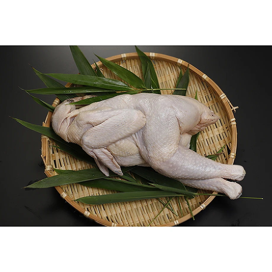 High quality nutrition premium supply frozen raw chicken meat