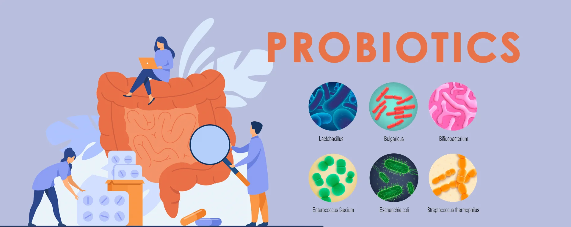 Factory Supply Alkaline protease powder high quality Alkaline protease probiotics powder Alkaline protease